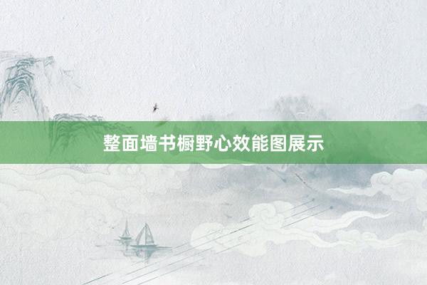 整面墙书橱野心效能图展示