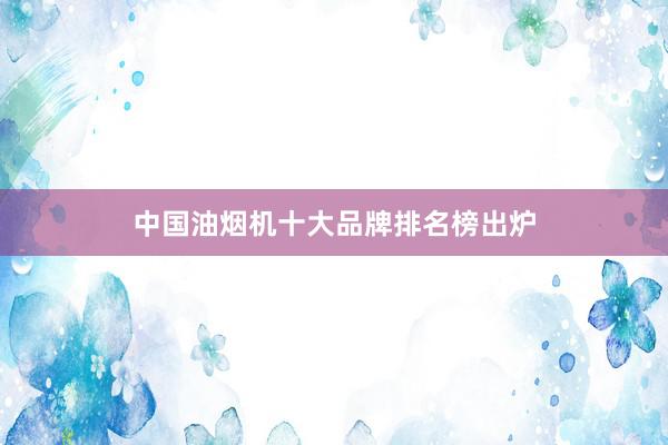 中国油烟机十大品牌排名榜出炉